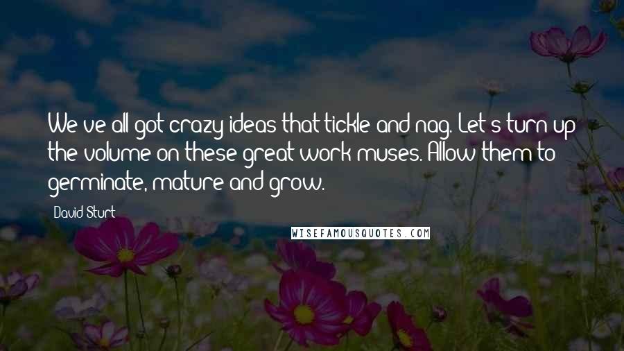 David Sturt quotes: We've all got crazy ideas that tickle and nag. Let's turn up the volume on these great work muses. Allow them to germinate, mature and grow.