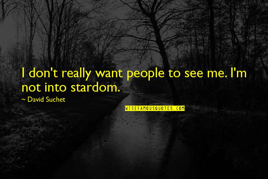 David Suchet Quotes By David Suchet: I don't really want people to see me.