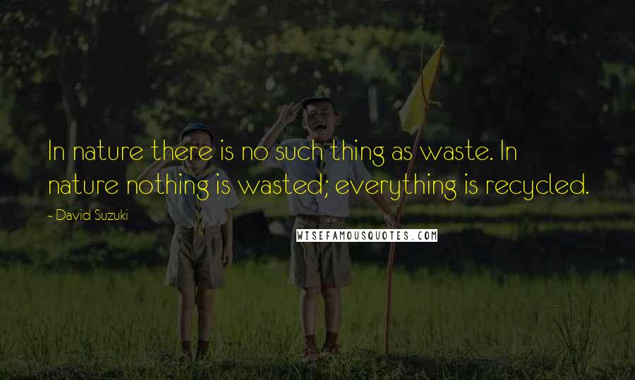 David Suzuki quotes: In nature there is no such thing as waste. In nature nothing is wasted; everything is recycled.