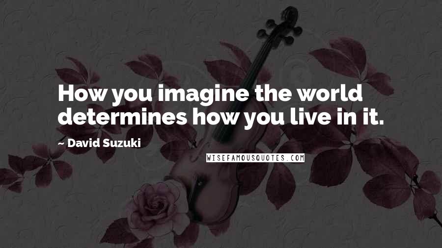 David Suzuki quotes: How you imagine the world determines how you live in it.