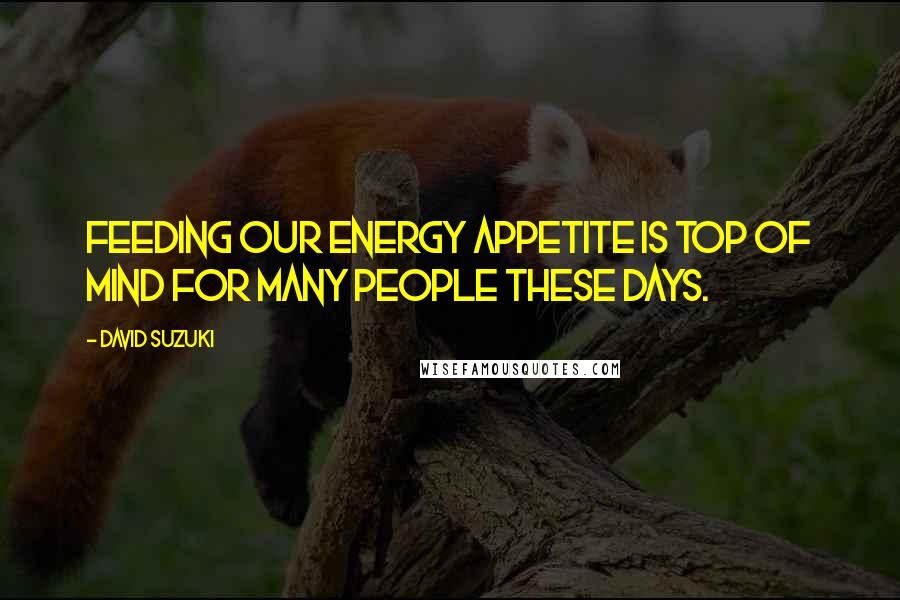 David Suzuki quotes: Feeding our energy appetite is top of mind for many people these days.