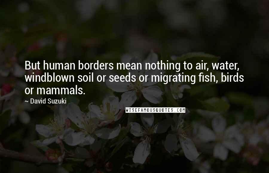 David Suzuki quotes: But human borders mean nothing to air, water, windblown soil or seeds or migrating fish, birds or mammals.