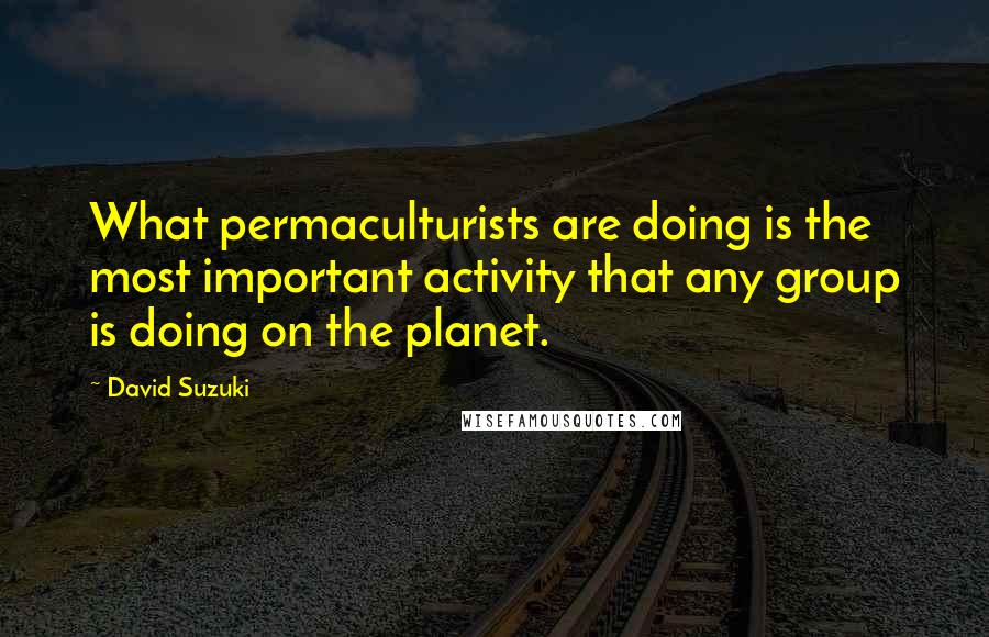 David Suzuki quotes: What permaculturists are doing is the most important activity that any group is doing on the planet. David Suzuki quotes: What permaculturists are doing is the most important activity that any group is doing on the planet.