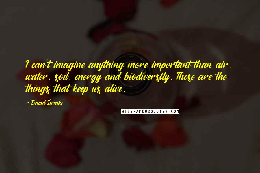 David Suzuki quotes: I can't imagine anything more important than air, water, soil, energy and biodiversity. These are the things that keep us alive. David Suzuki quotes: I can't imagine anything more important than air, water, soil, energy and biodiversity. These are the things that keep us alive.