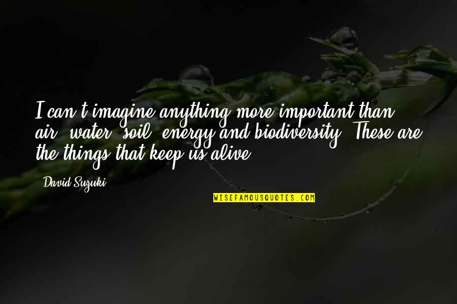 David Suzuki Quotes By David Suzuki: I can't imagine anything more important than air,