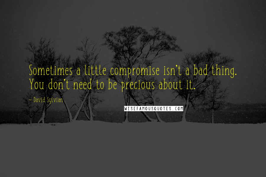 David Sylvian quotes: Sometimes a little compromise isn't a bad thing. You don't need to be precious about it.