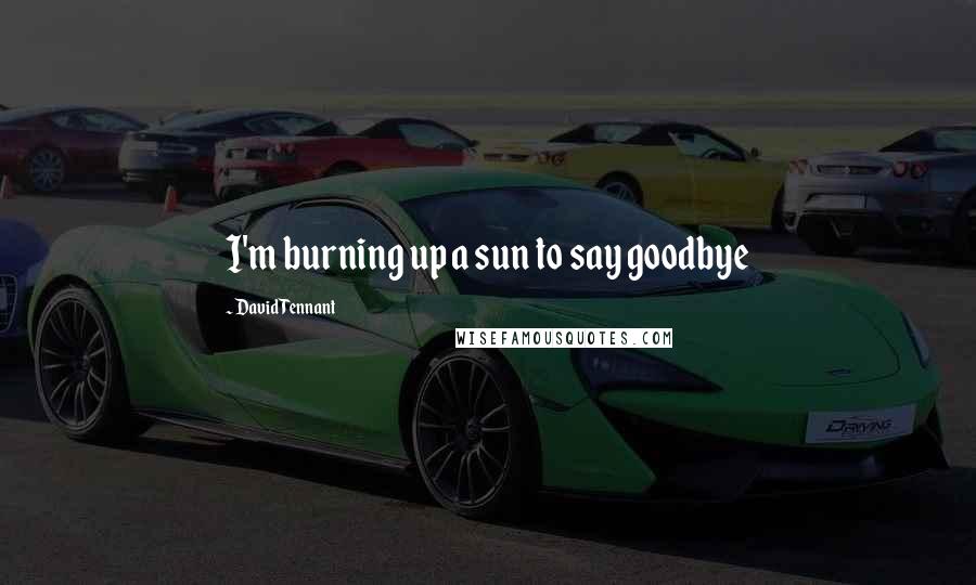 David Tennant quotes: I'm burning up a sun to say goodbye