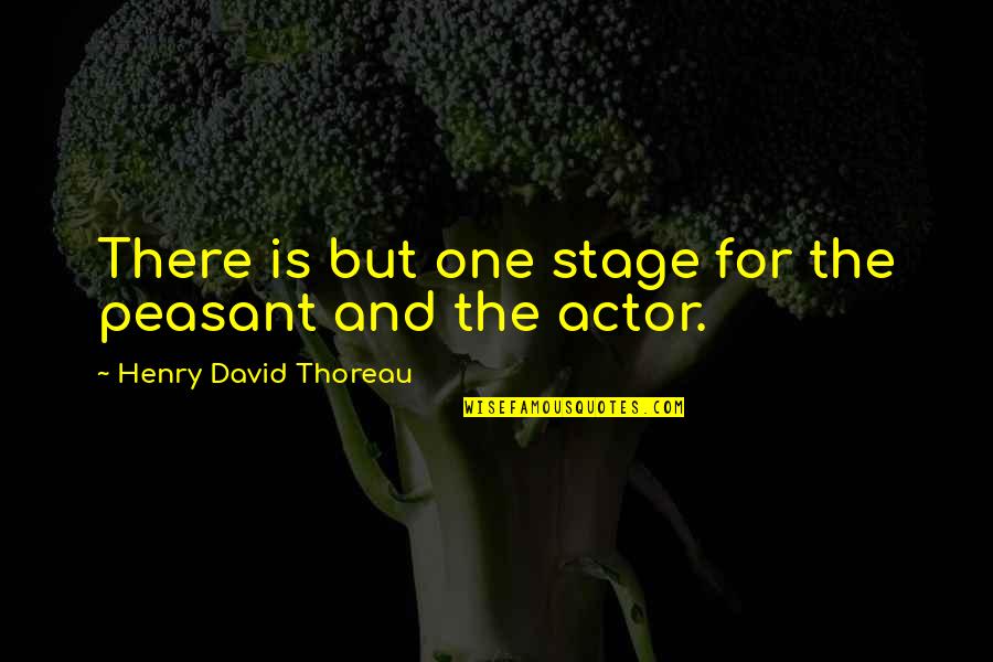 David Thoreau Quotes By Henry David Thoreau: There is but one stage for the peasant