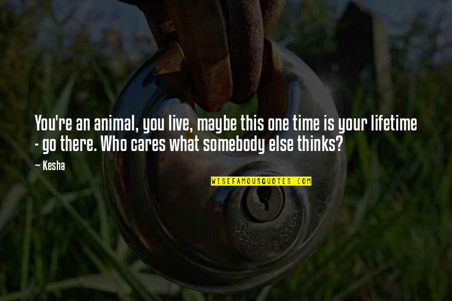 David Tweedie Quotes By Kesha: You're an animal, you live, maybe this one David Tweedie Quotes By Kesha: You're an animal, you live, maybe this one