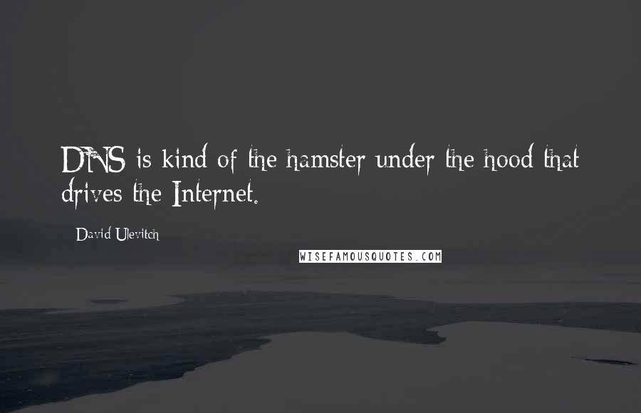 David Ulevitch quotes: DNS is kind of the hamster under the hood that drives the Internet.