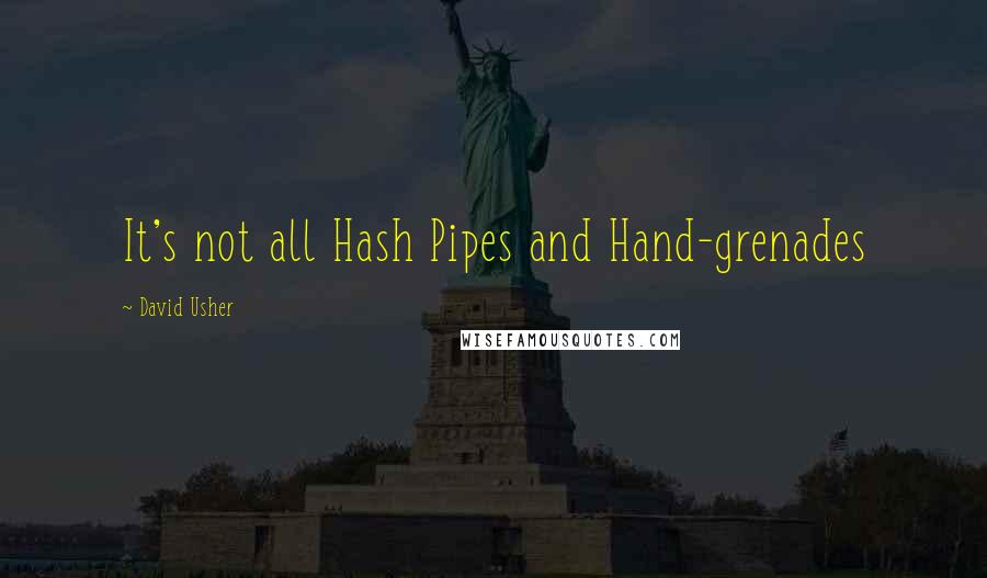 David Usher quotes: It's not all Hash Pipes and Hand-grenades