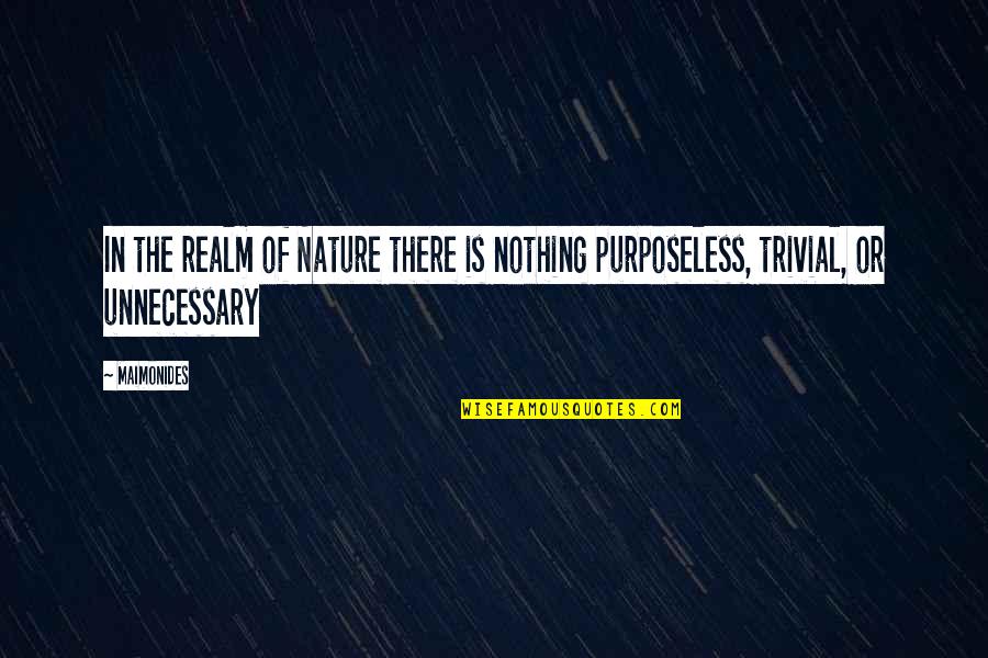David Villa Sanchez Quotes By Maimonides: In the realm of Nature there is nothing