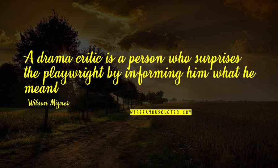 David Vs Goliath Type Quotes By Wilson Mizner: A drama critic is a person who surprises