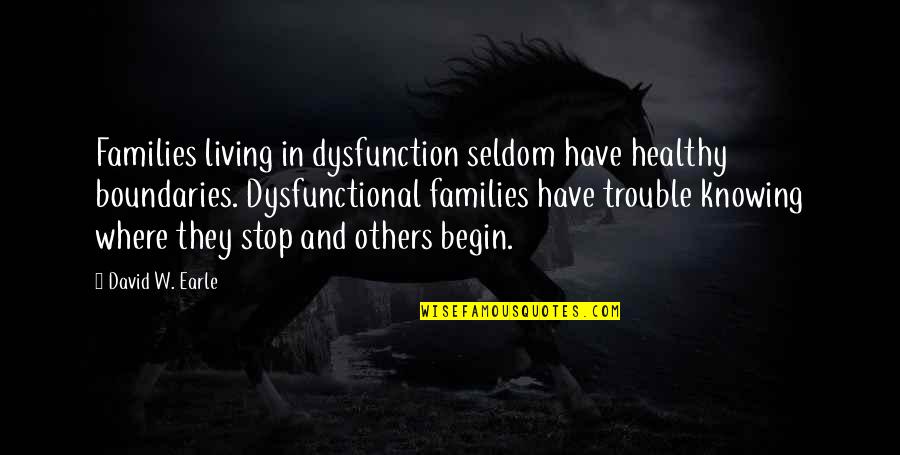 David W Earle Quotes By David W. Earle: Families living in dysfunction seldom have healthy boundaries.