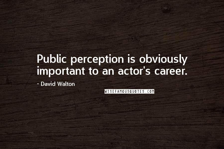 David Walton quotes: Public perception is obviously important to an actor's career.