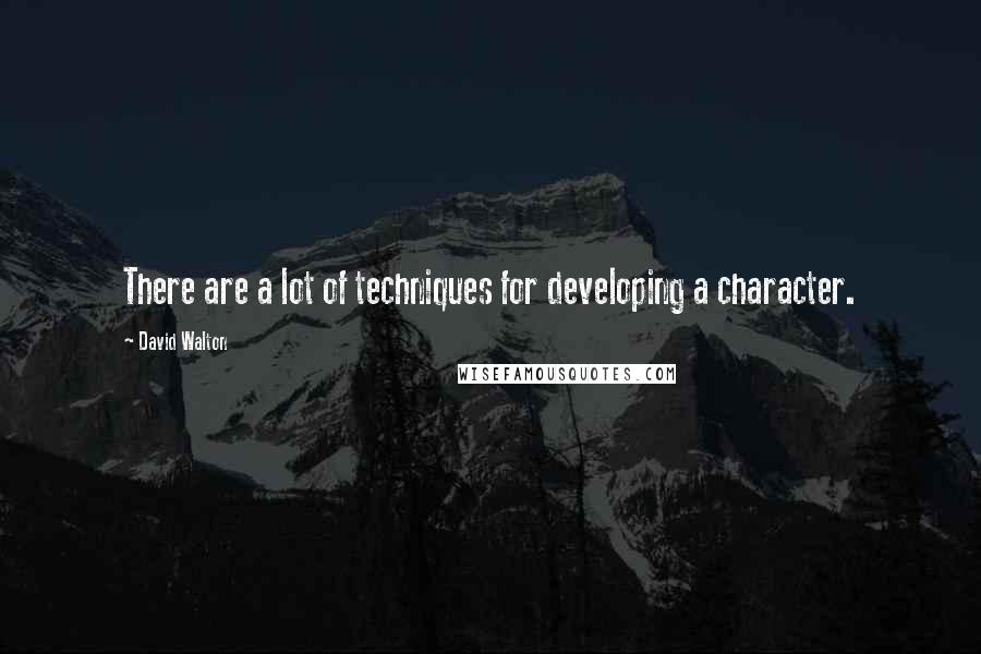 David Walton quotes: There are a lot of techniques for developing a character.