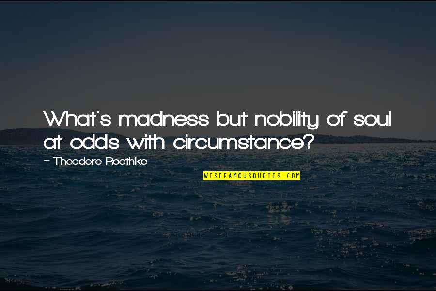 David Weatherford Quotes By Theodore Roethke: What's madness but nobility of soul at odds