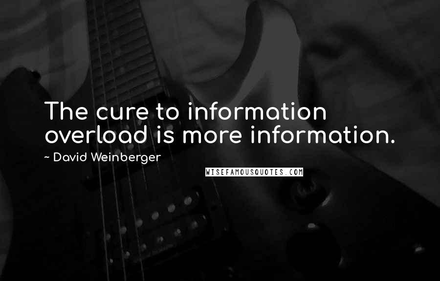 David Weinberger quotes: The cure to information overload is more information.