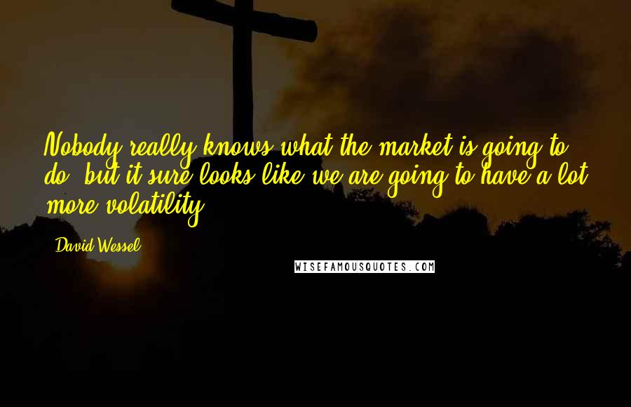 David Wessel quotes: Nobody really knows what the market is going to do, but it sure looks like we are going to have a lot more volatility.