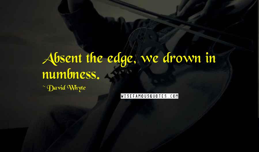 David Whyte quotes: Absent the edge, we drown in numbness.