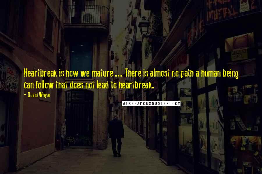 David Whyte quotes: Heartbreak is how we mature ... There is almost no path a human being can follow that does not lead to heartbreak. David Whyte quotes: Heartbreak is how we mature ... There is almost no path a human being can follow that does not lead to heartbreak.