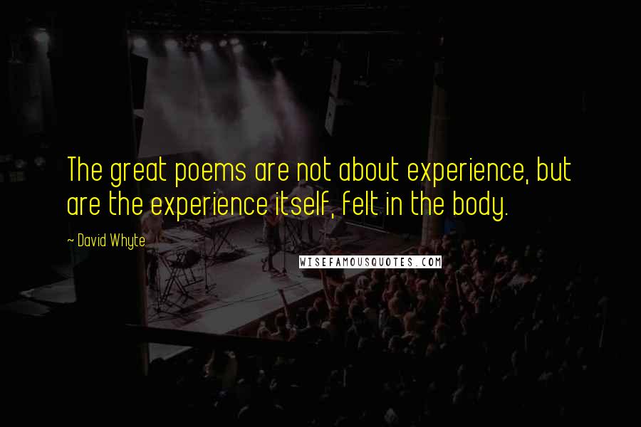 David Whyte quotes: The great poems are not about experience, but are the experience itself, felt in the body.
