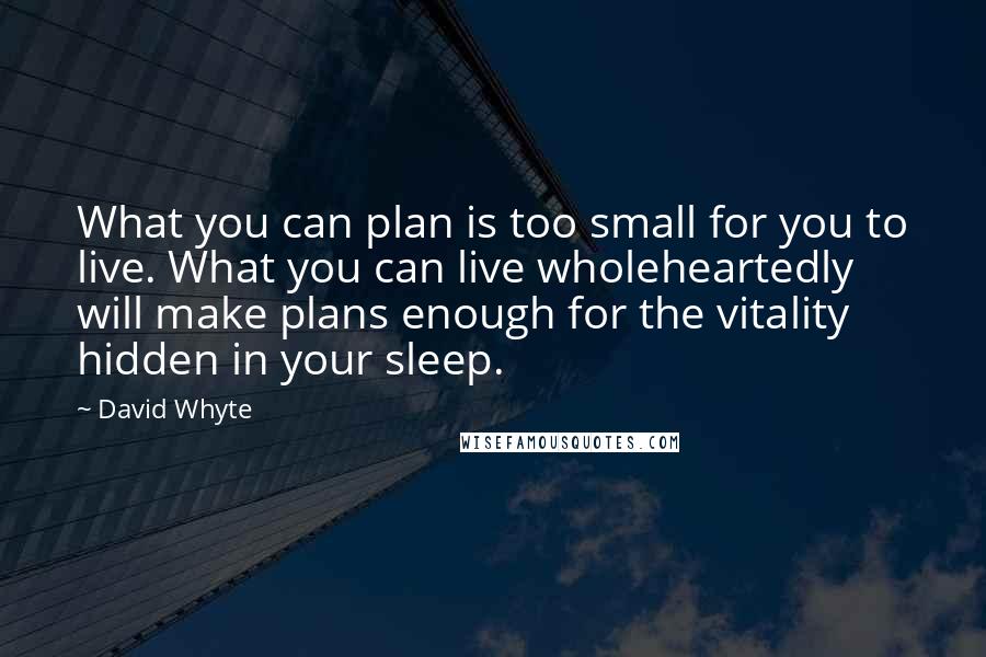 David Whyte quotes: What you can plan is too small for you to live. What you can live wholeheartedly will make plans enough for the vitality hidden in your sleep. David Whyte quotes: What you can plan is too small for you to live. What you can live wholeheartedly will make plans enough for the vitality hidden in your sleep.