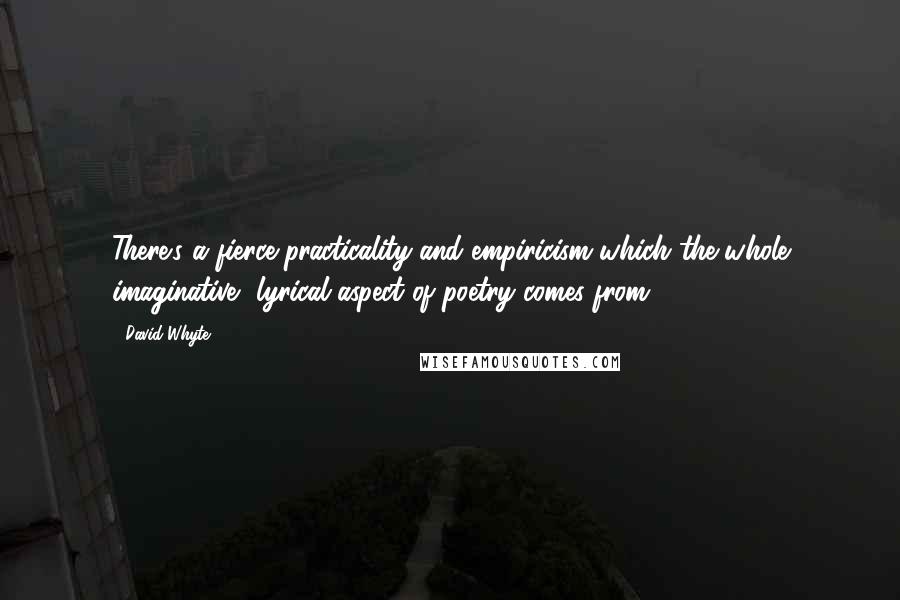 David Whyte quotes: There's a fierce practicality and empiricism which the whole imaginative, lyrical aspect of poetry comes from.