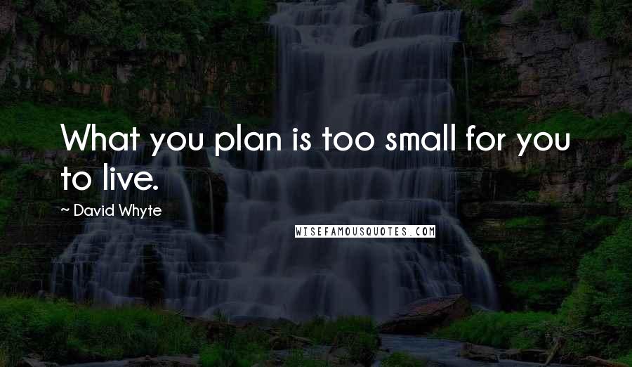 David Whyte quotes: What you plan is too small for you to live.