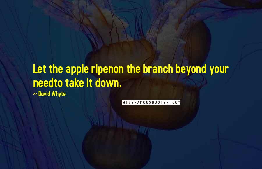 David Whyte quotes: Let the apple ripenon the branch beyond your needto take it down.