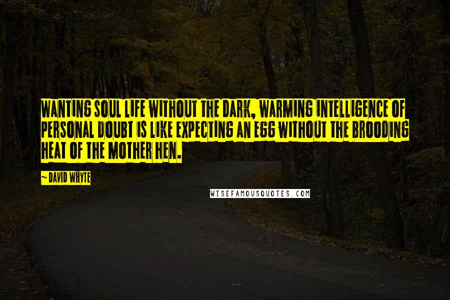 David Whyte quotes: Wanting soul life without the dark, warming intelligence of personal doubt is like expecting an egg without the brooding heat of the mother hen. David Whyte quotes: Wanting soul life without the dark, warming intelligence of personal doubt is like expecting an egg without the brooding heat of the mother hen.