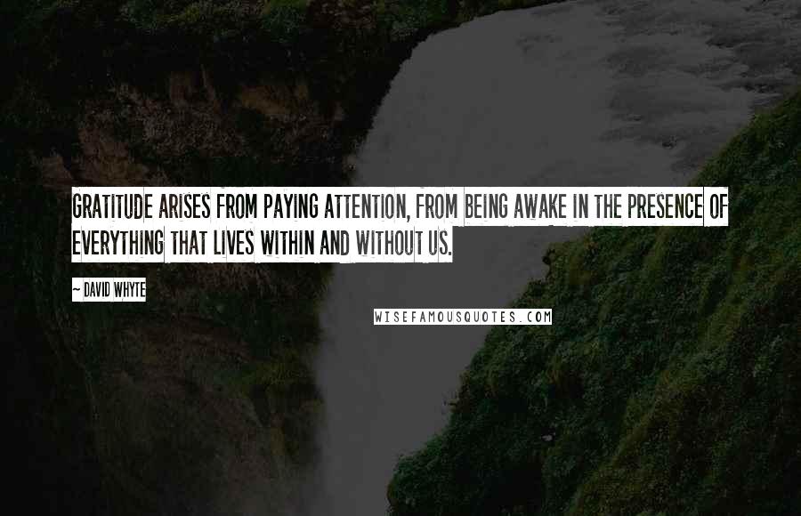 David Whyte quotes: Gratitude arises from paying attention, from being awake in the presence of everything that lives within and without us. David Whyte quotes: Gratitude arises from paying attention, from being awake in the presence of everything that lives within and without us.