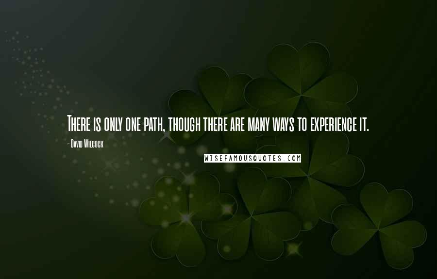 David Wilcock quotes: There is only one path, though there are many ways to experience it.