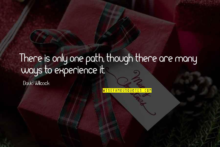 David Wilcock Quotes By David Wilcock: There is only one path, though there are