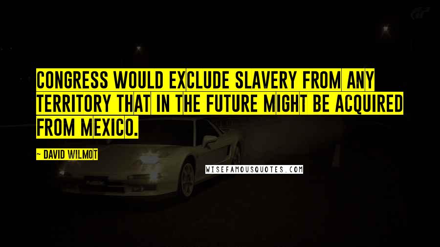David Wilmot quotes: Congress would exclude slavery from any territory that in the future might be acquired from Mexico.