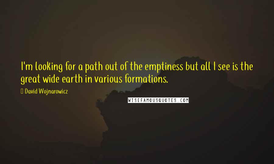 David Wojnarowicz quotes: I'm looking for a path out of the emptiness but all I see is the great wide earth in various formations.