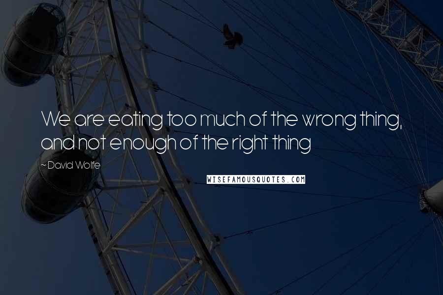 David Wolfe quotes: We are eating too much of the wrong thing, and not enough of the right thing