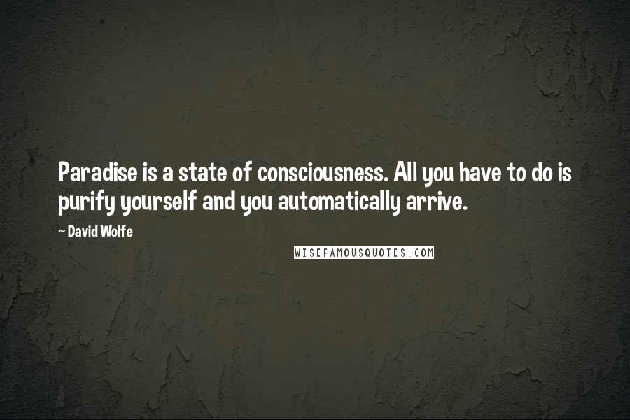 David Wolfe quotes: Paradise is a state of consciousness. All you have to do is purify yourself and you automatically arrive.