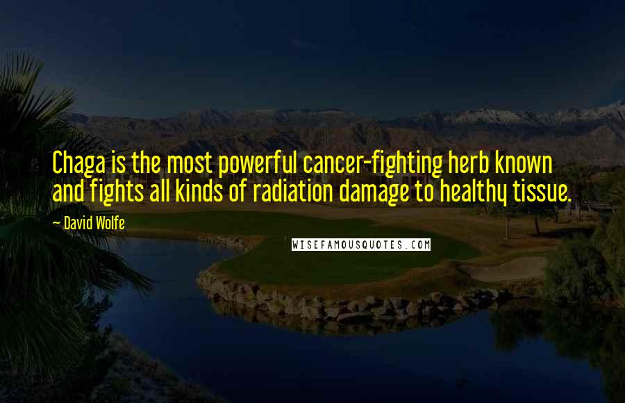 David Wolfe quotes: Chaga is the most powerful cancer-fighting herb known and fights all kinds of radiation damage to healthy tissue.