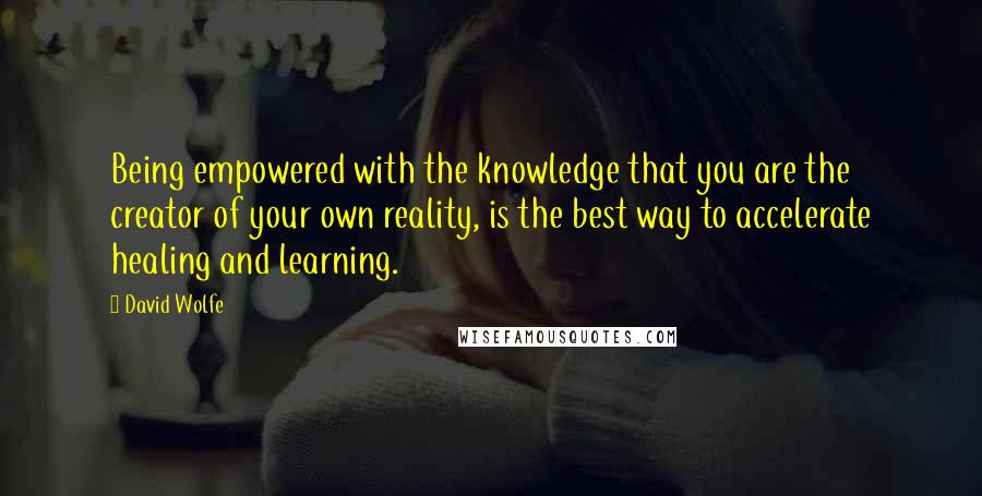 David Wolfe quotes: Being empowered with the knowledge that you are the creator of your own reality, is the best way to accelerate healing and learning.