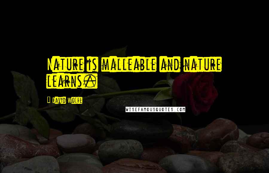 David Wolfe quotes: Nature is malleable and nature learns.