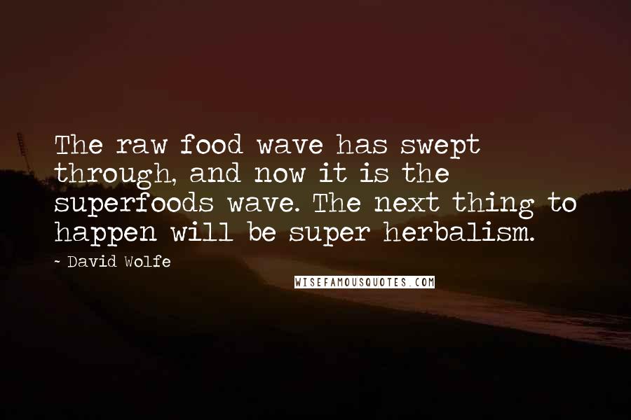 David Wolfe quotes: The raw food wave has swept through, and now it is the superfoods wave. The next thing to happen will be super herbalism.