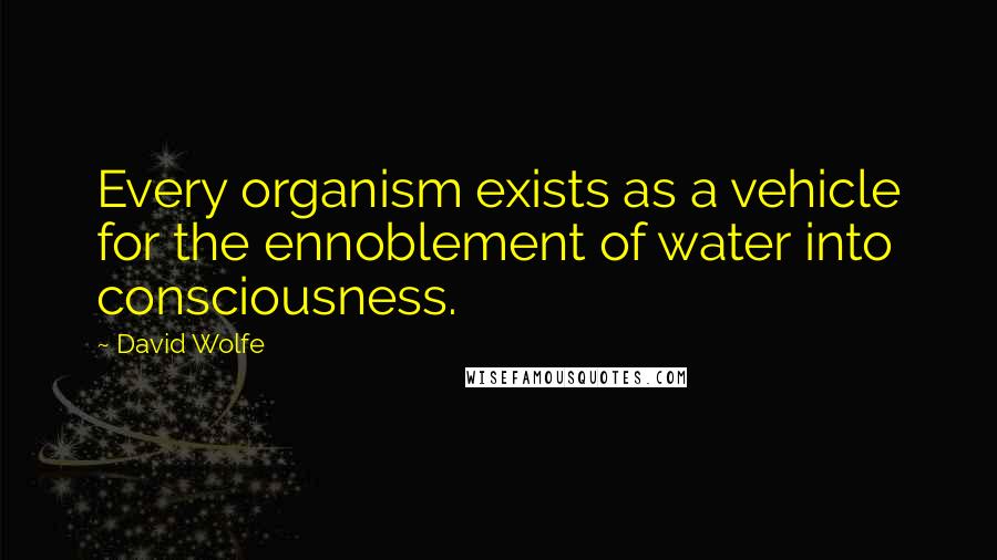 David Wolfe quotes: Every organism exists as a vehicle for the ennoblement of water into consciousness.
