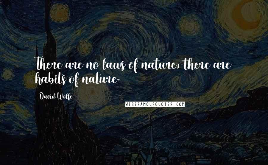 David Wolfe quotes: There are no laws of nature; there are habits of nature.