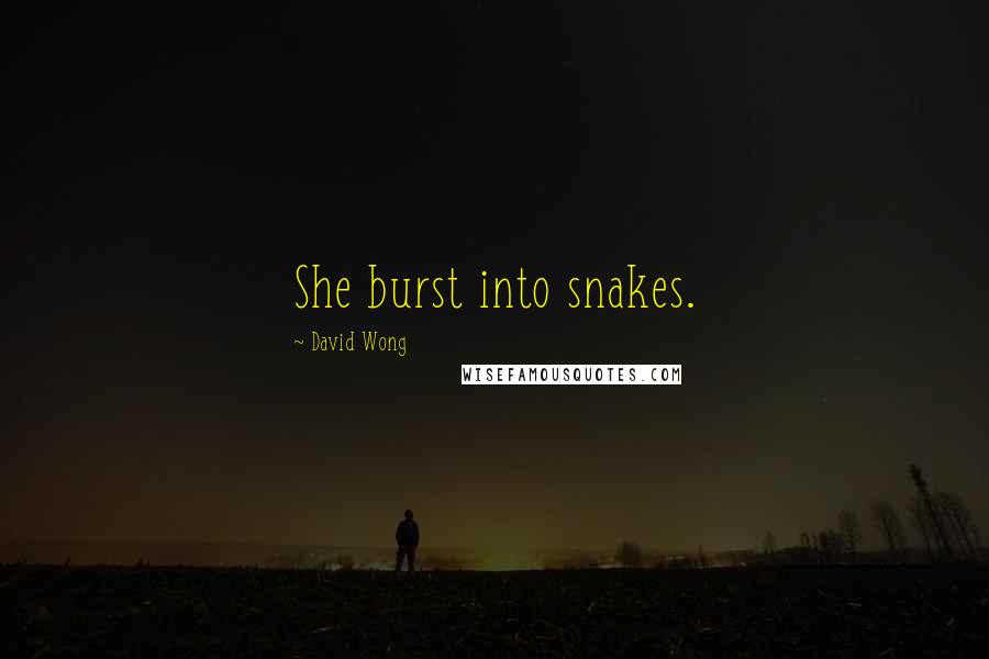 David Wong quotes: She burst into snakes.