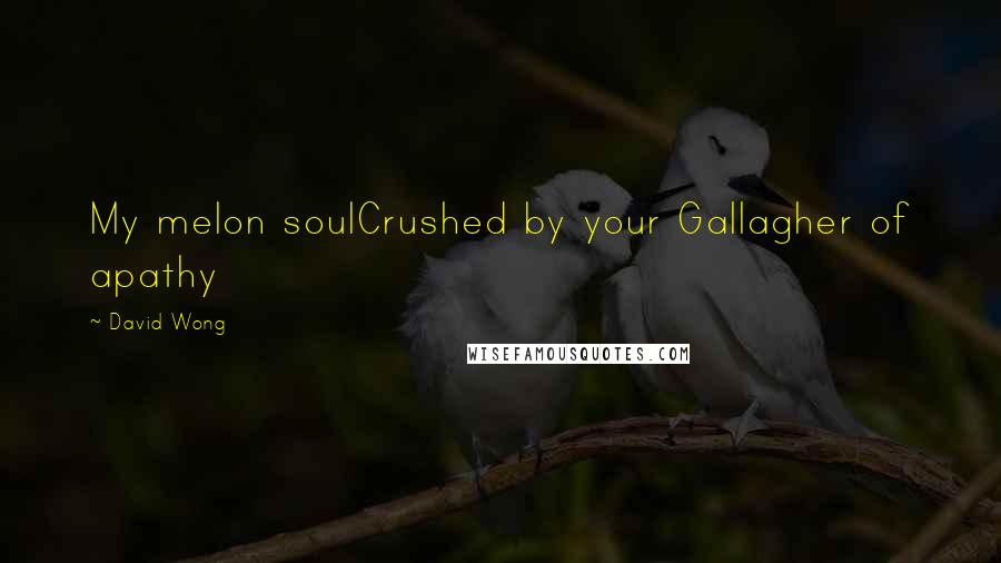 David Wong quotes: My melon soulCrushed by your Gallagher of apathy