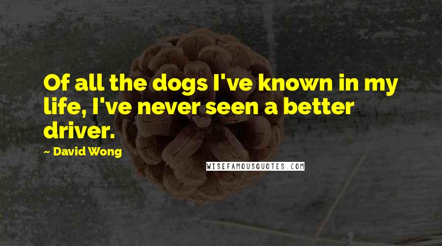 David Wong quotes: Of all the dogs I've known in my life, I've never seen a better driver.