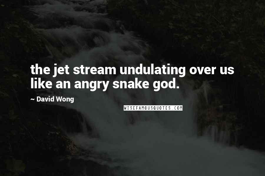 David Wong quotes: the jet stream undulating over us like an angry snake god.