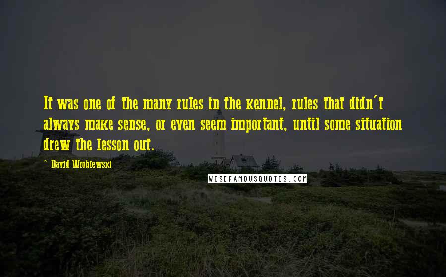 David Wroblewski quotes: It was one of the many rules in the kennel, rules that didn't always make sense, or even seem important, until some situation drew the lesson out.