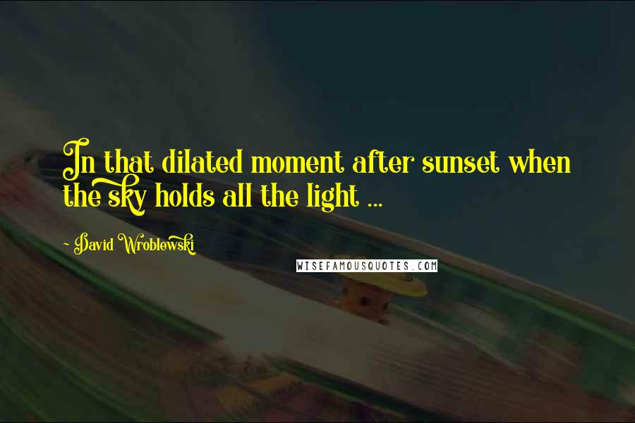 David Wroblewski quotes: In that dilated moment after sunset when the sky holds all the light ...